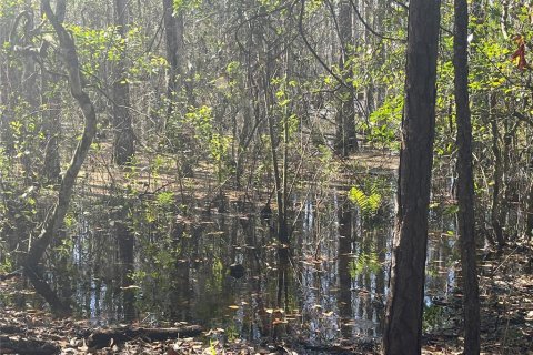 Terreno en venta en Groveland, Florida № 302303 - foto 14