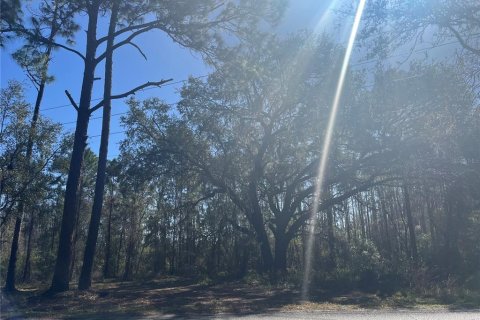 Terreno en venta en Groveland, Florida № 302303 - foto 11