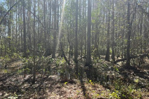 Terreno en venta en Groveland, Florida № 302303 - foto 15