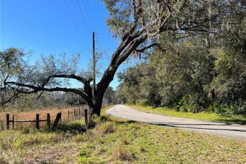 Terreno en venta en Groveland, Florida № 302303 - foto 7