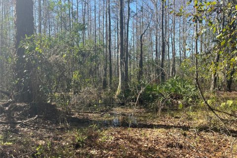 Terreno en venta en Groveland, Florida № 302303 - foto 12