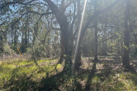 Terreno en venta en Groveland, Florida № 302303 - foto 3