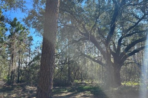 Terreno en venta en Groveland, Florida № 302303 - foto 10