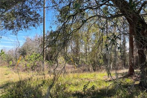 Terreno en venta en Groveland, Florida № 302303 - foto 8