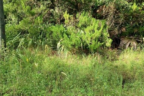 Land in Geneva, Florida № 2162478