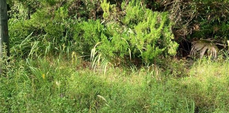 Land in Geneva, Florida № 2162478