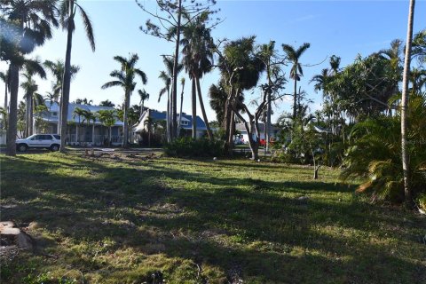 Land in Punta Gorda, Florida № 343270 - photo 6