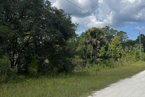 Land in Weeki Wachee, Florida № 1884605 - photo 2