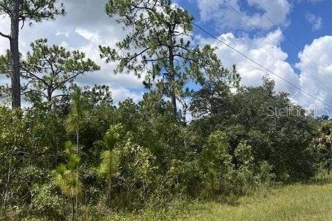 Land in Weeki Wachee, Florida № 1884605 - photo 1