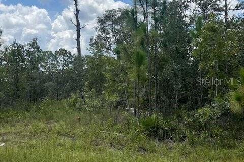 Land in Weeki Wachee, Florida № 1884605 - photo 3