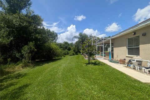 Casa en alquiler en Tampa, Florida, 5 dormitorios, 322.37 m2 № 1883144 - foto 5