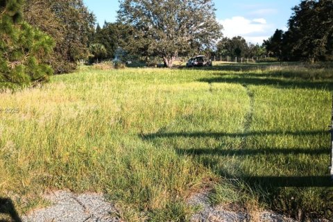 Land in Clewiston, Florida № 1857134 - photo 1