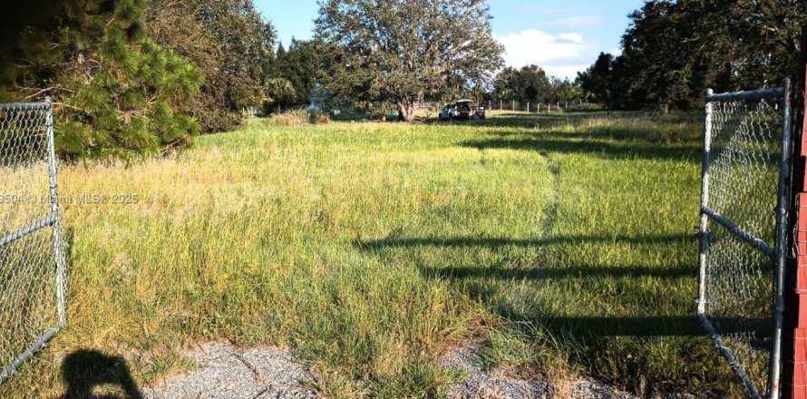 Land in Clewiston, Florida № 1857134
