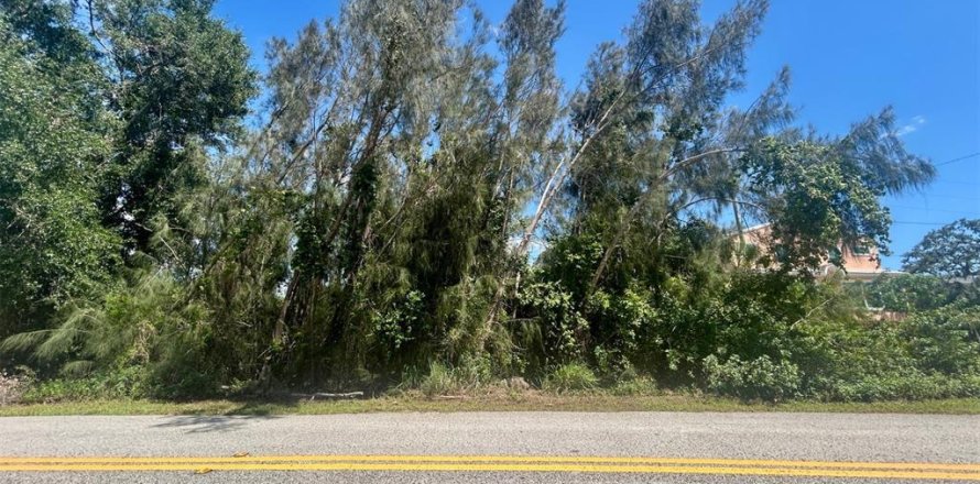 Terreno en Saint Petersburg, Florida № 1805488