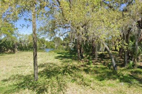 Terrain à vendre à New Port Richey, Floride № 1113035 - photo 1