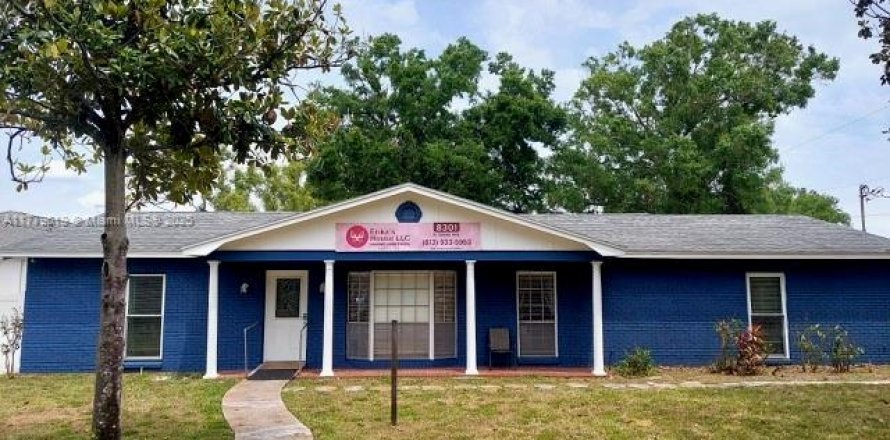 Immobilier commercial à Tampa, Floride № 1861633
