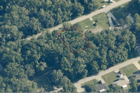 Land in Inverness, Florida № 2158932