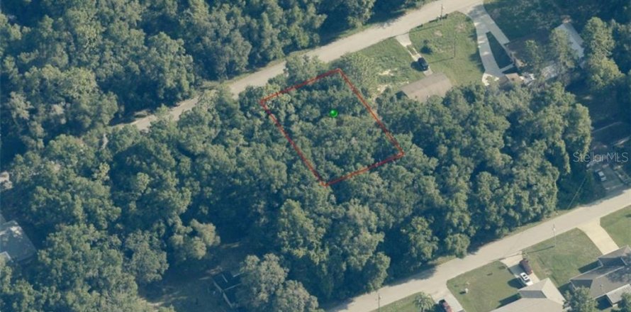 Land in Inverness, Florida № 2158932