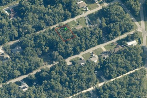 Land in Inverness, Florida № 2158932 - photo 2