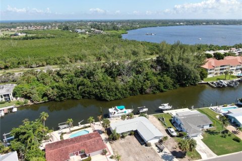 Terrain à vendre à Bradenton, Floride № 2111884 - photo 4