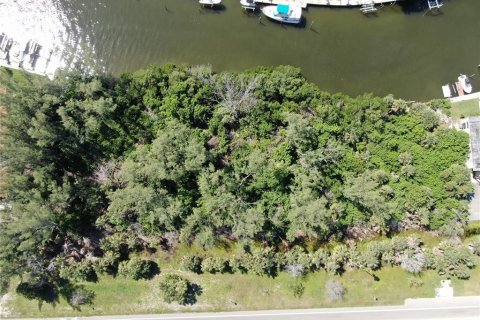 Terrain à vendre à Bradenton, Floride № 2111884 - photo 9