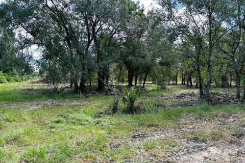Land in Arcadia, Florida № 941546 - photo 4