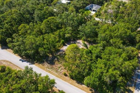Land in Port Charlotte, Florida № 2160809 - photo 3
