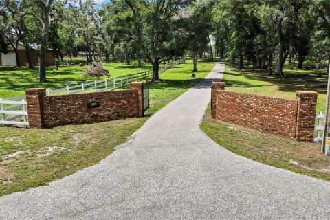 Casa en venta en Dade City, Florida, 3 dormitorios, 222.32 m2 № 1807289 - foto 6