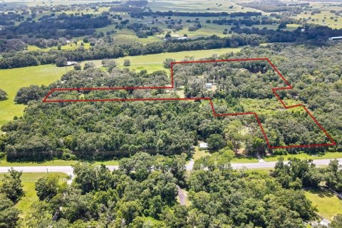 Casa en venta en Dade City, Florida, 3 dormitorios, 222.32 m2 № 1807289 - foto 5