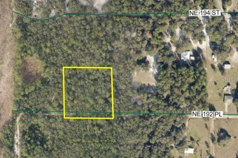 Terreno en Citra, Florida № 2222544