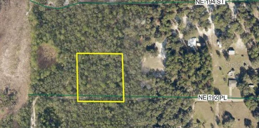 Terrain à Citra, Floride № 2222544