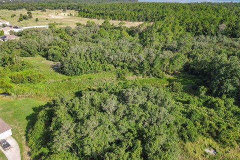 Terrain à vendre à Kissimmee, Floride № 2166091 - photo 26