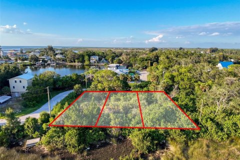 Land in Hudson, Florida № 2212734 - photo 5