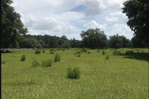 Propiedad comercial en venta en Crescent City, Florida № 1706591 - foto 4