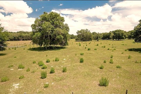 Propiedad comercial en venta en Crescent City, Florida № 1706591 - foto 5