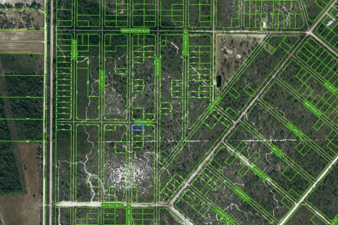 Land in Lake Placid, Florida № 2224058