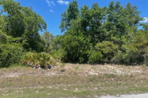 Terrain à Poinciana, Floride № 2160881