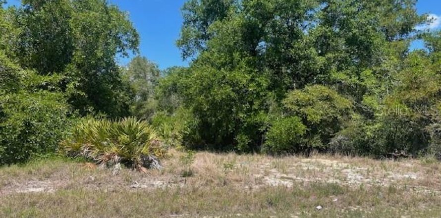 Terrain à Poinciana, Floride № 2160881