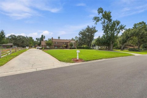 Villa ou maison à vendre à Brandon, Floride: 5 chambres, 413.79 m2 № 2395612 - photo 7