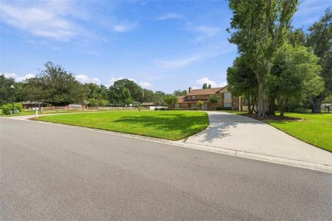 Villa ou maison à vendre à Brandon, Floride: 5 chambres, 413.79 m2 № 2395612 - photo 8