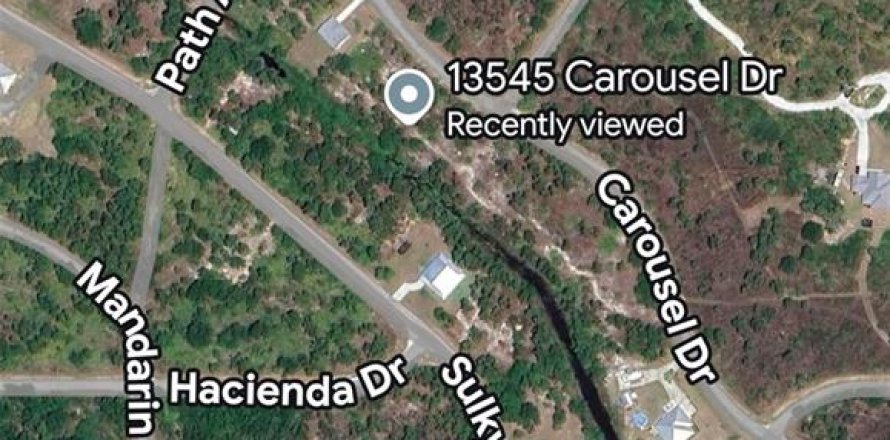 Terrain à Punta Gorda, Floride № 2199807