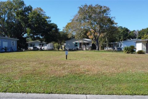Land in Spring Hill, Florida № 2206192