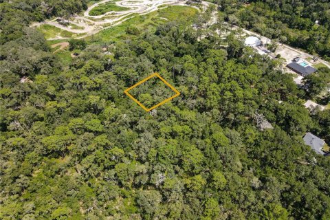 Land in Orange City, Florida № 2162779 - photo 3