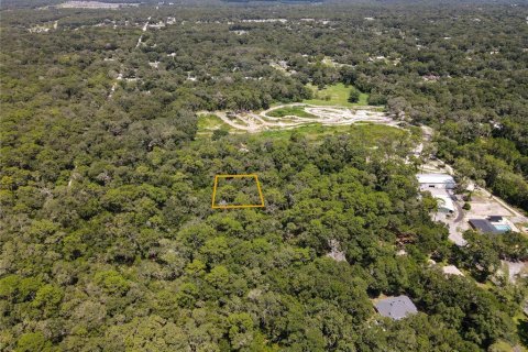 Land in Orange City, Florida № 2162779 - photo 2