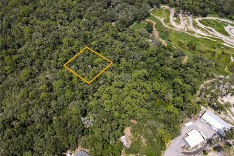Land in Orange City, Florida № 2162779 - photo 5