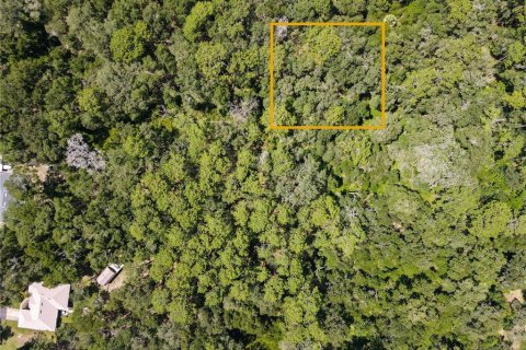 Land in Orange City, Florida № 2162779