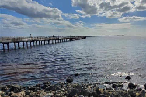 Villa ou maison à louer à Punta Gorda, Floride: 2 chambres, 72.46 m2 № 2378283 - photo 26