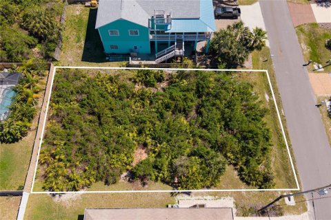 Terreno en venta en Palm Coast, Florida № 1688268 - foto 30