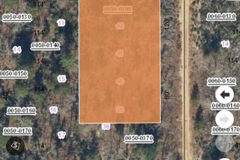 Terreno en Interlachen, Florida № 2236526