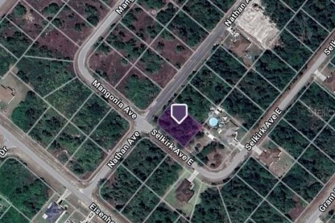 Land in Lehigh Acres, Florida № 2161218